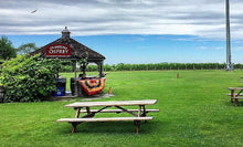 Load image into Gallery viewer, Long Island Vineyard Tour at Osprey