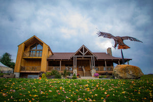Long Island Vineyard Tour 