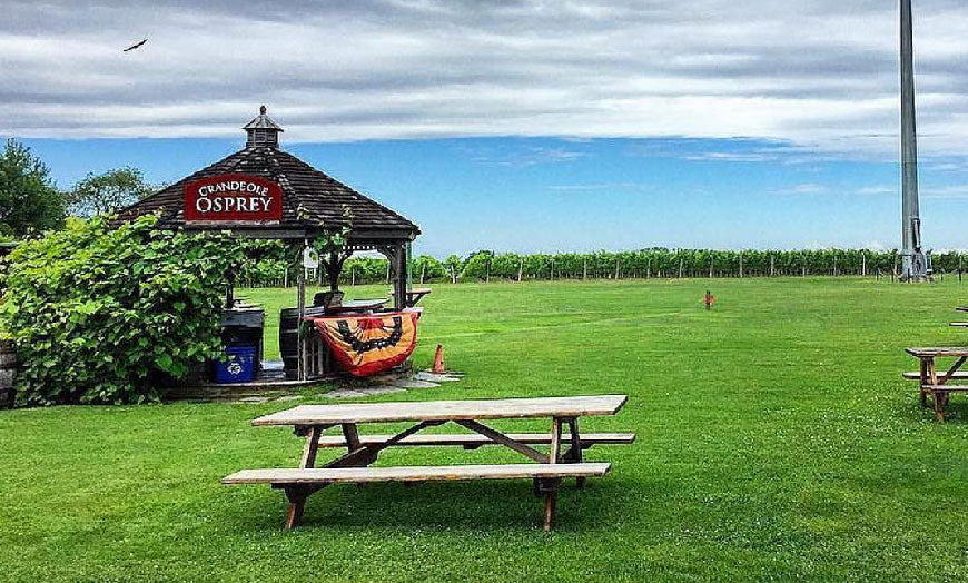 Long Island Vineyard Tour at Osprey