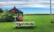 Long Island Vineyard Tour at Osprey