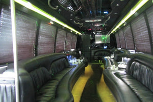 27 Passenger Krystal Party Bus - NY Wine Tours