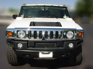 22 Passenger H2 Hummer Limousine - NY Wine Tours