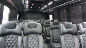 27 Passenger Executive Luxury Shuttle Bus - NY Wine Tours