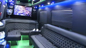 12 Passenger Mercedes-Benz Sprinter Party Bus - NY Wine Tours