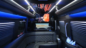 12 Passenger Mercedes-Benz Sprinter Party Bus - NY Wine Tours