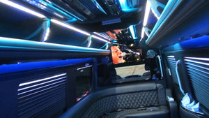 12 Passenger Mercedes-Benz Sprinter Party Bus - NY Wine Tours