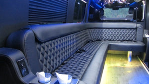 12 Passenger Mercedes-Benz Sprinter Party Bus - NY Wine Tours