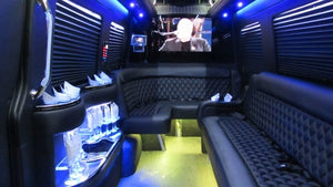 12 Passenger Mercedes-Benz Sprinter Party Bus - NY Wine Tours