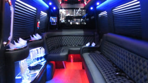 12 Passenger Mercedes-Benz Sprinter Party Bus - NY Wine Tours