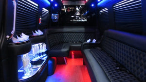 12 Passenger Mercedes-Benz Sprinter Party Bus - NY Wine Tours