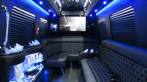 12 Passenger Mercedes-Benz Sprinter Party Bus - NY Wine Tours
