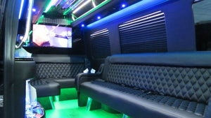 12 Passenger Mercedes-Benz Sprinter Party Bus - NY Wine Tours