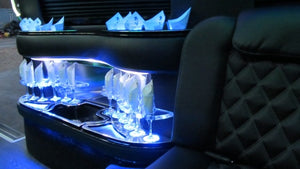 12 Passenger Mercedes-Benz Sprinter Party Bus - NY Wine Tours