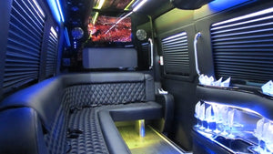 12 Passenger Mercedes-Benz Sprinter Party Bus - NY Wine Tours
